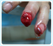 NG电子游戏·(中国区)官方网站