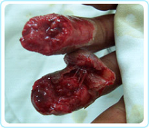 NG电子游戏·(中国区)官方网站