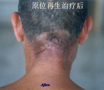 NG电子游戏·(中国区)官方网站