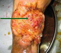 NG电子游戏·(中国区)官方网站