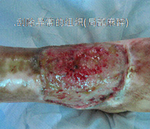 NG电子游戏·(中国区)官方网站