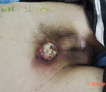 NG电子游戏·(中国区)官方网站