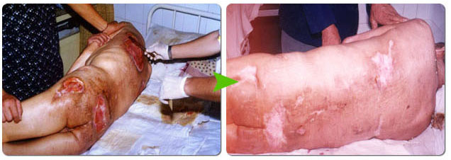 NG电子游戏·(中国区)官方网站