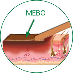 NG电子游戏·(中国区)官方网站