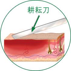 NG电子游戏·(中国区)官方网站