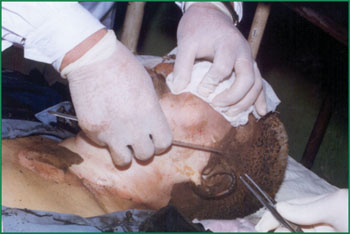 NG电子游戏·(中国区)官方网站