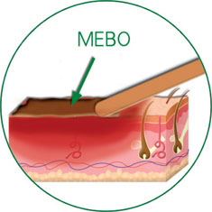 NG电子游戏·(中国区)官方网站