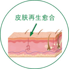 NG电子游戏·(中国区)官方网站