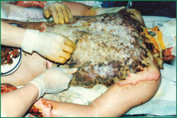 NG电子游戏·(中国区)官方网站