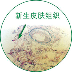 NG电子游戏·(中国区)官方网站