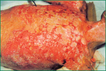 NG电子游戏·(中国区)官方网站