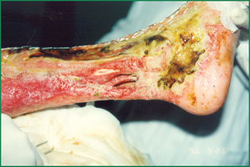 NG电子游戏·(中国区)官方网站