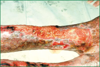 NG电子游戏·(中国区)官方网站