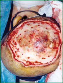 NG电子游戏·(中国区)官方网站