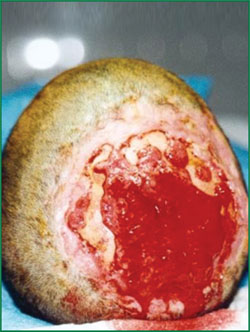 NG电子游戏·(中国区)官方网站