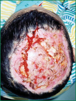 NG电子游戏·(中国区)官方网站