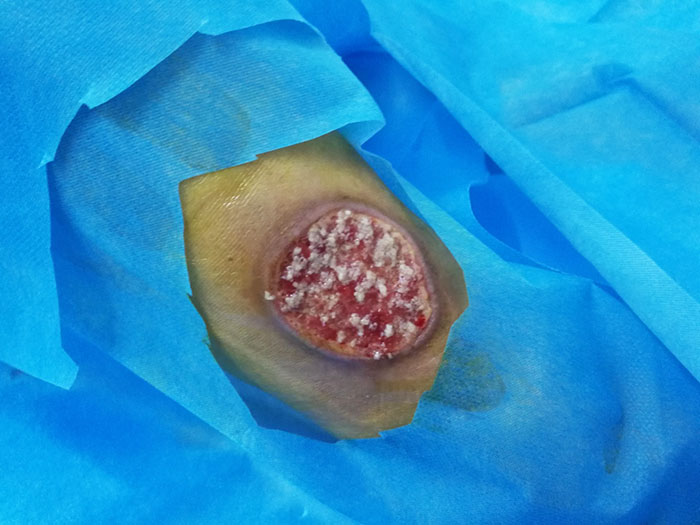 NG电子游戏·(中国区)官方网站