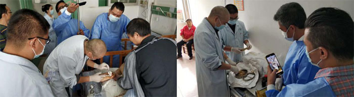 NG电子游戏·(中国区)官方网站