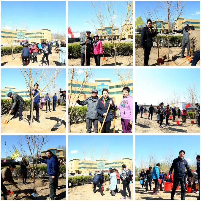 NG电子游戏·(中国区)官方网站