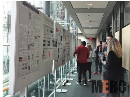 NG电子游戏·(中国区)官方网站