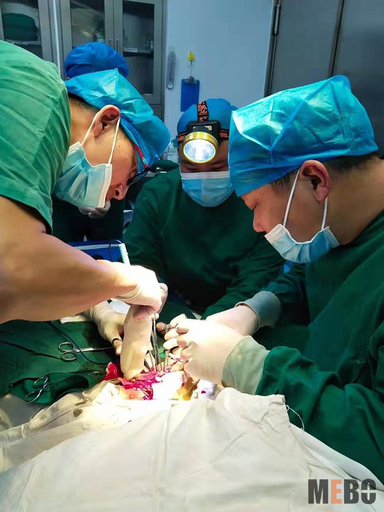 NG电子游戏·(中国区)官方网站