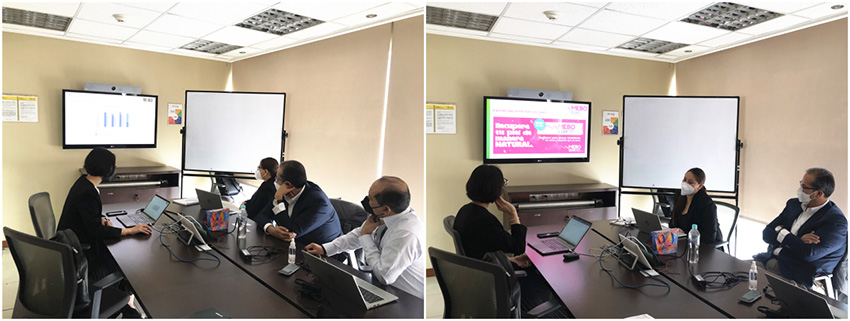 NG电子游戏·(中国区)官方网站