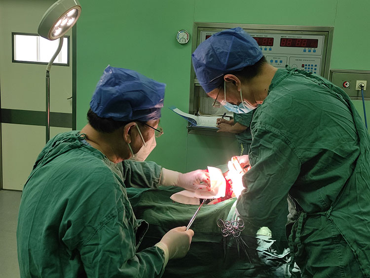 NG电子游戏·(中国区)官方网站