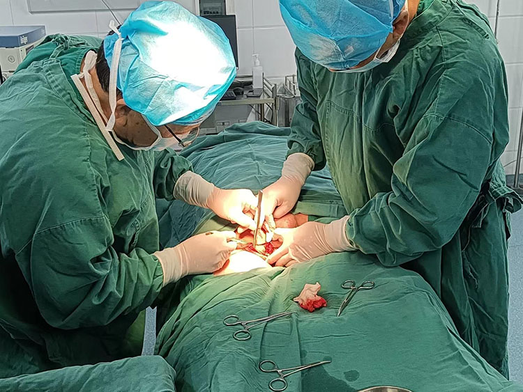 NG电子游戏·(中国区)官方网站