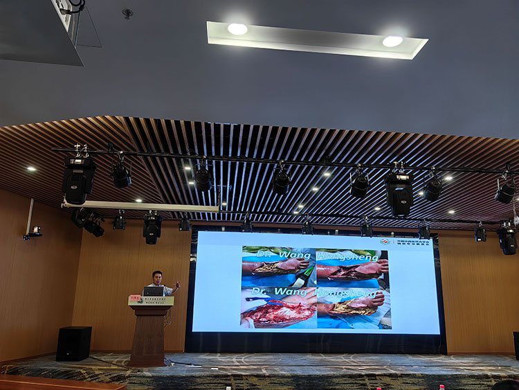 NG电子游戏·(中国区)官方网站