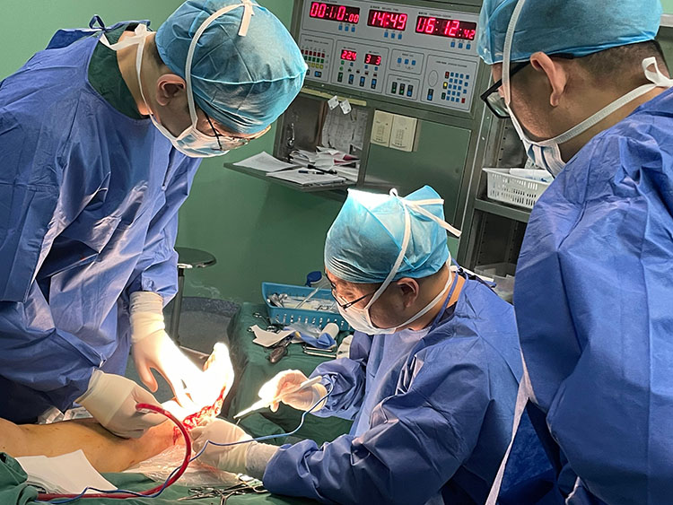 NG电子游戏·(中国区)官方网站