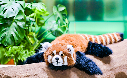 NG电子游戏·(中国区)官方网站