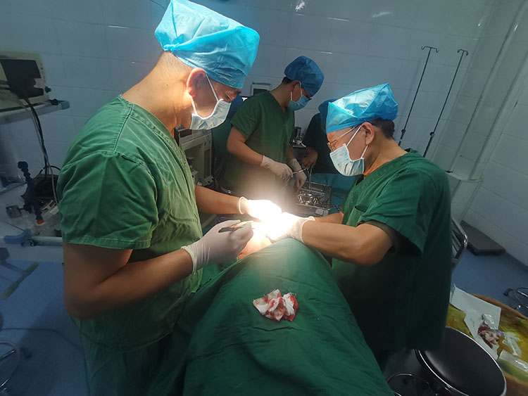 NG电子游戏·(中国区)官方网站