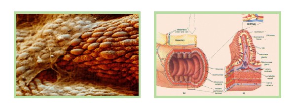 NG电子游戏·(中国区)官方网站