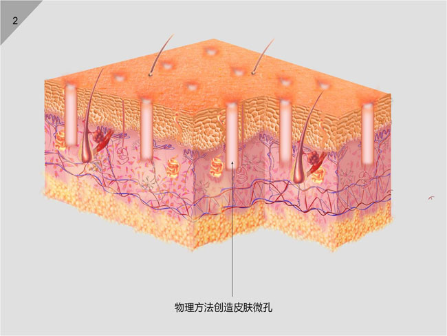 NG电子游戏·(中国区)官方网站