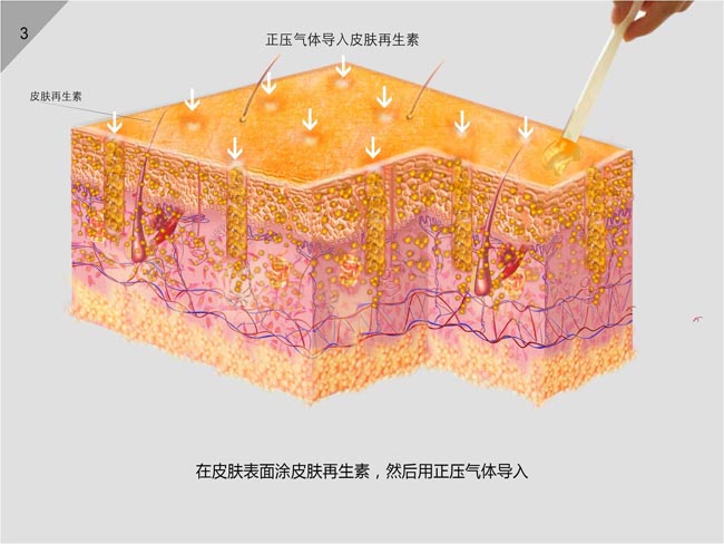 NG电子游戏·(中国区)官方网站