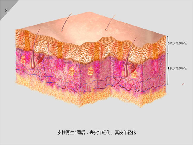 NG电子游戏·(中国区)官方网站