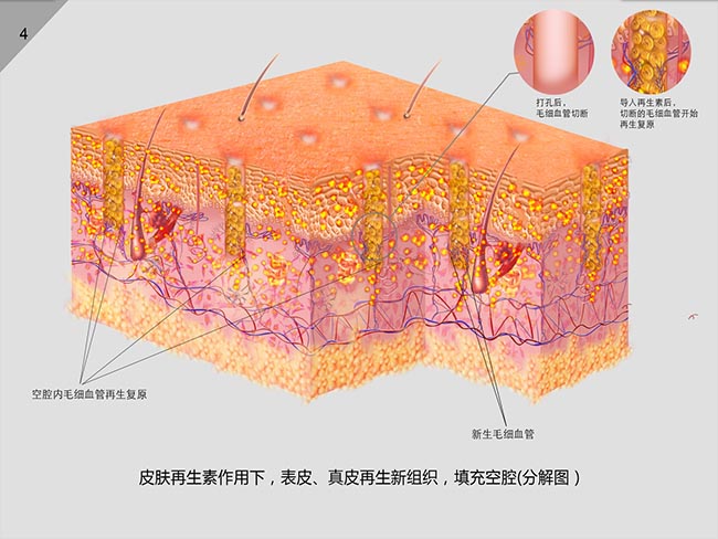 NG电子游戏·(中国区)官方网站