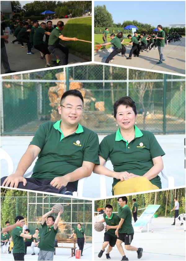 NG电子游戏·(中国区)官方网站